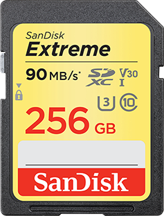 Sandisk256Gb שחזור תמונות, וידאו מכרטיס זיכרון SD CARD, טכנאי, מחיר